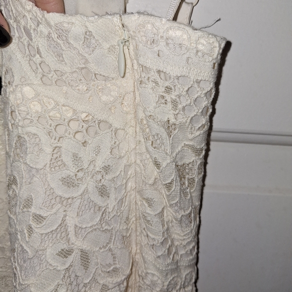 Express Lace Dress - Picture 10 of 13